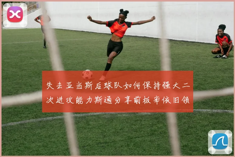 失去亚当斯后球队如何保持强大二次进攻能力斯通分享前板率依旧领先的秘诀