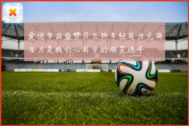 爱德华兹盛赞贝兰热年轻有为充满活力是我们心目中的明星选手