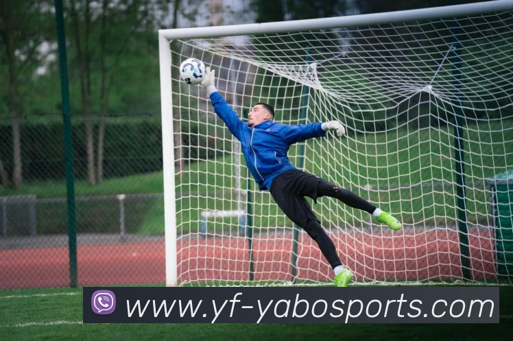 亚博体育APP 高清赛事图